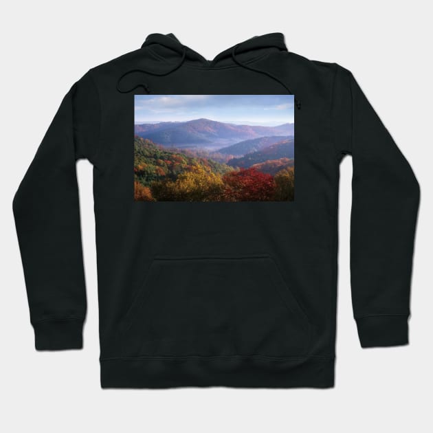 Autumn Deciduous Forest From The Blue Ridge Parkway North Carolina Hoodie by RhysDawson